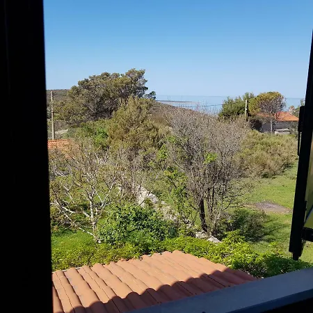 Apartment In Family House With Roses And Olive Tree Garden Holiday home Stivan