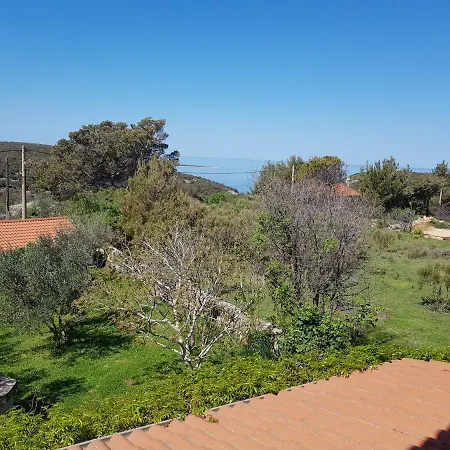 Apartment In Family House With Roses And Olive Tree Garden Holiday home Stivan