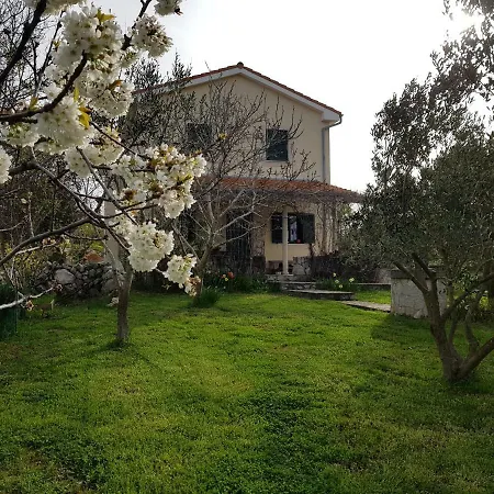 Holiday home Apartment In Family House With Roses And Olive Tree Garden