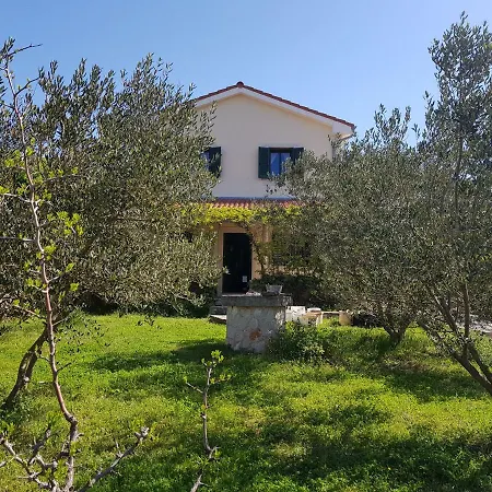 Apartment In Family House With Roses And Olive Tree Garden